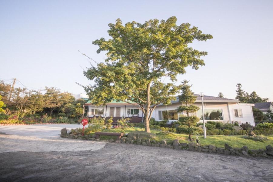 Sunyang Village Pension Jeju Esterno foto