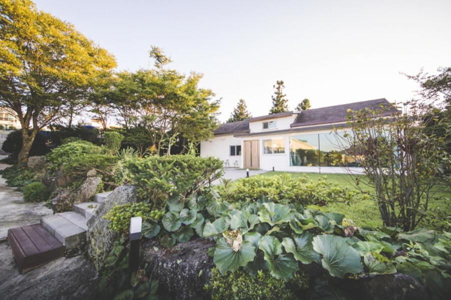 Sunyang Village Pension Jeju Esterno foto